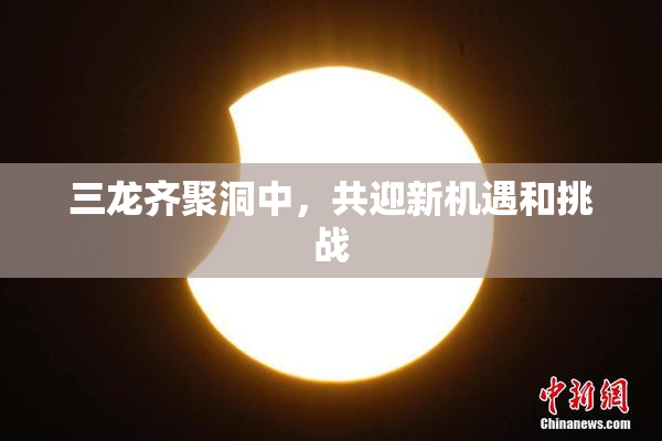 三龙齐聚洞中，共迎新机遇和挑战