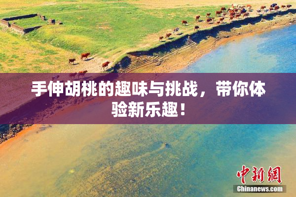 手伸胡桃的趣味与挑战，带你体验新乐趣！