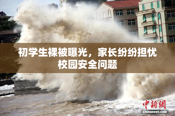 初学生裸被曝光，家长纷纷担忧校园安全问题