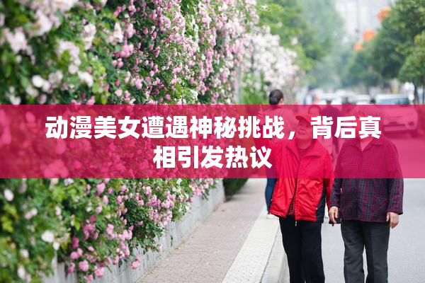 动漫美女遭遇神秘挑战，背后真相引发热议