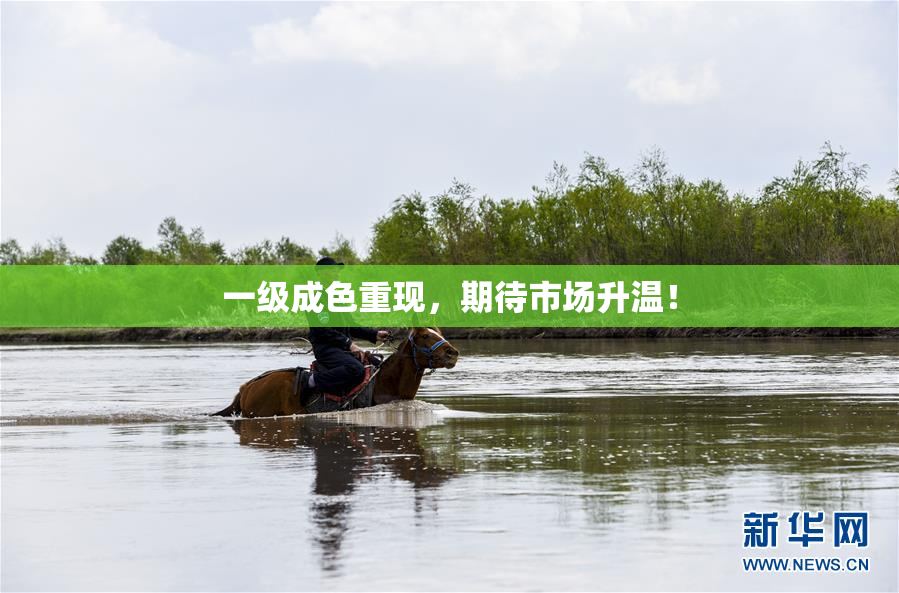 一级成色重现，期待市场升温！