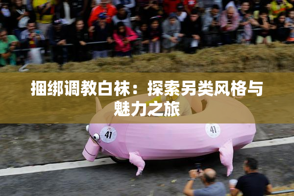 捆绑调教白袜：探索另类风格与魅力之旅