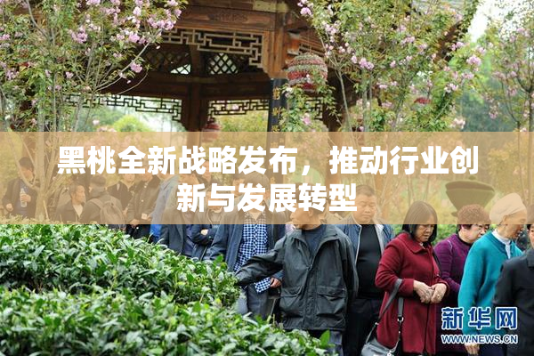 黑桃全新战略发布，推动行业创新与发展转型