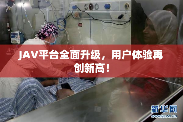 JAV平台全面升级，用户体验再创新高！