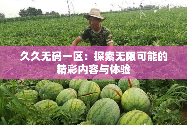 久久无码一区：探索无限可能的精彩内容与体验