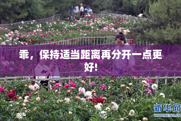 乖，保持适当距离再分开一点更好!