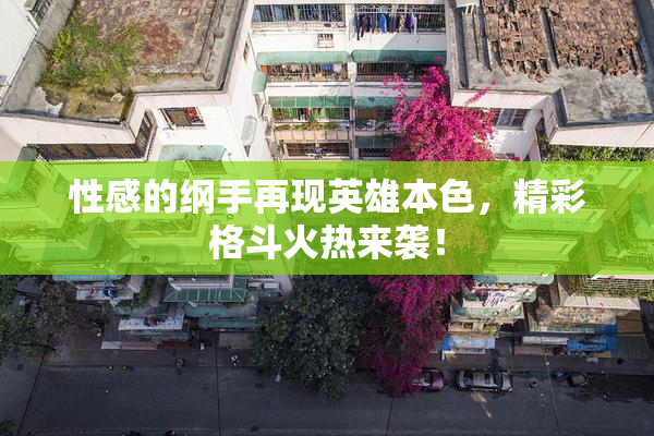 性感的纲手再现英雄本色，精彩格斗火热来袭！