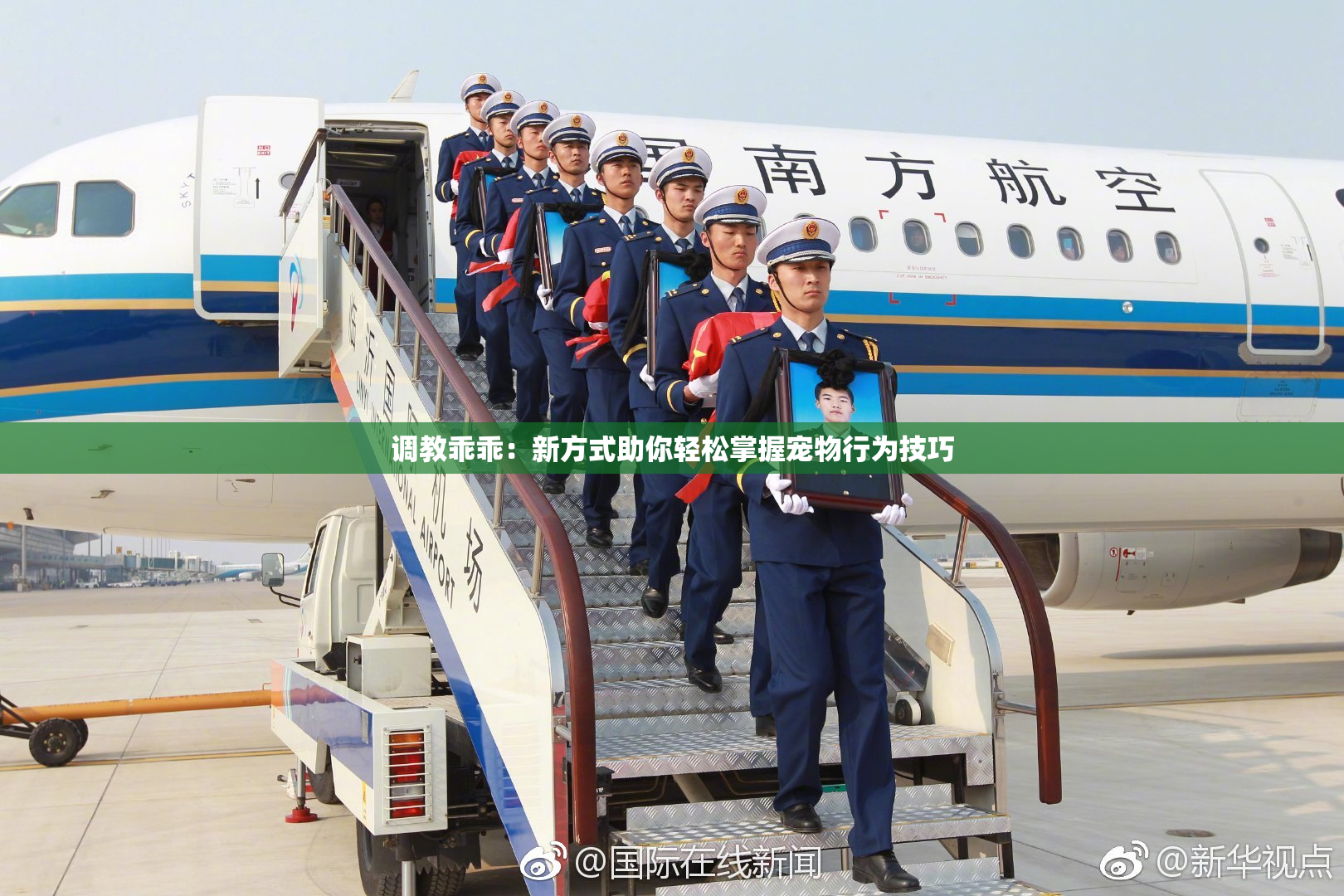 调教乖乖：新方式助你轻松掌握宠物行为技巧