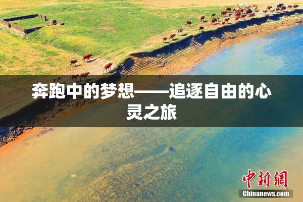 奔跑中的梦想——追逐自由的心灵之旅