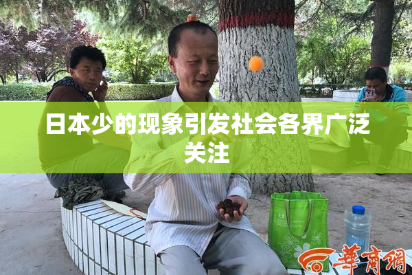日本少的现象引发社会各界广泛关注