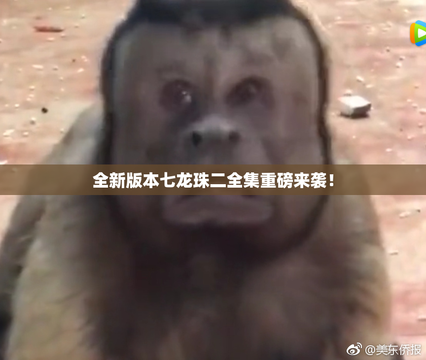 全新版本七龙珠二全集重磅来袭！