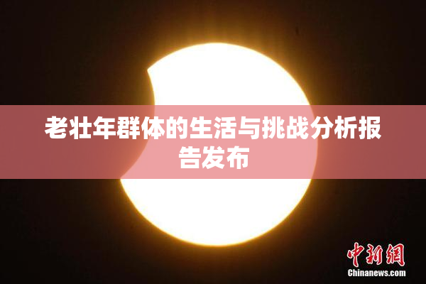 老壮年群体的生活与挑战分析报告发布