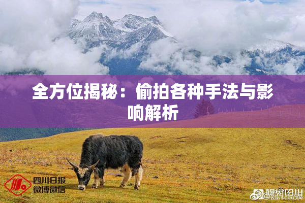全方位揭秘：偷拍各种手法与影响解析