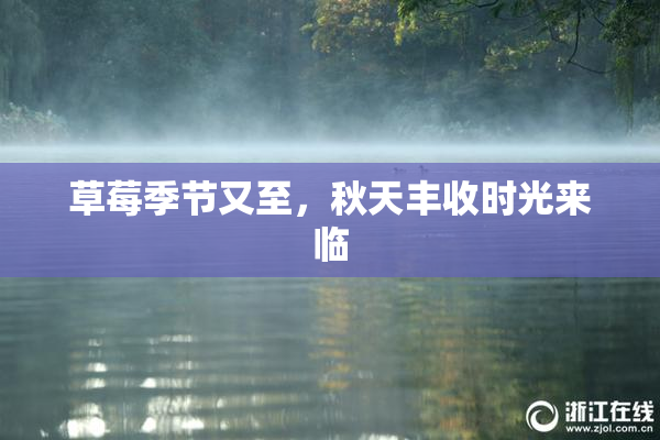 草莓季节又至，秋天丰收时光来临