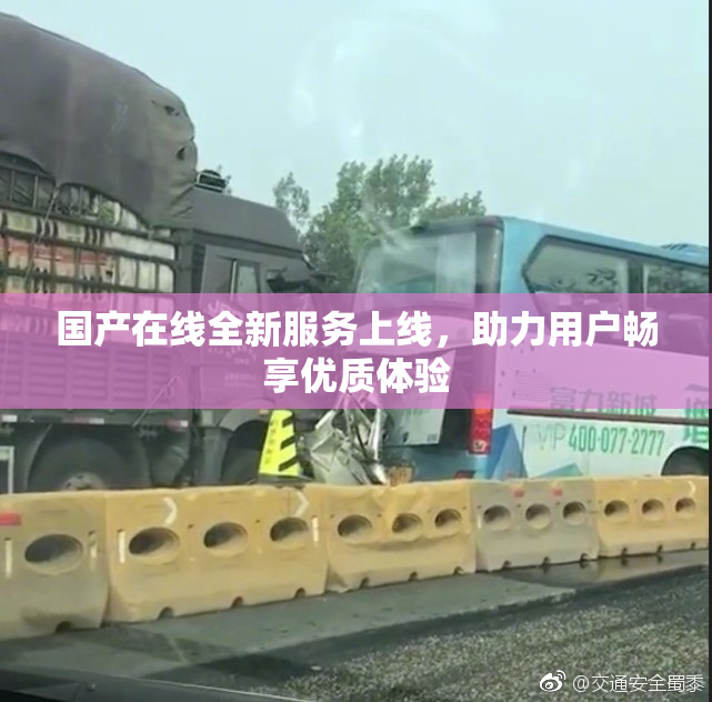国产在线全新服务上线，助力用户畅享优质体验