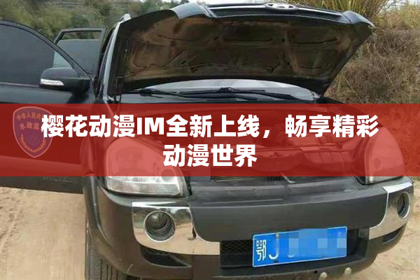 樱花动漫IM全新上线，畅享精彩动漫世界
