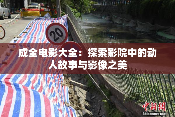 成全电影大全：探索影院中的动人故事与影像之美