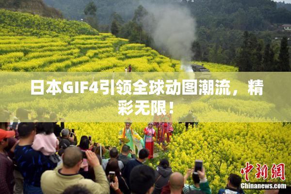 日本GIF4引领全球动图潮流，精彩无限！