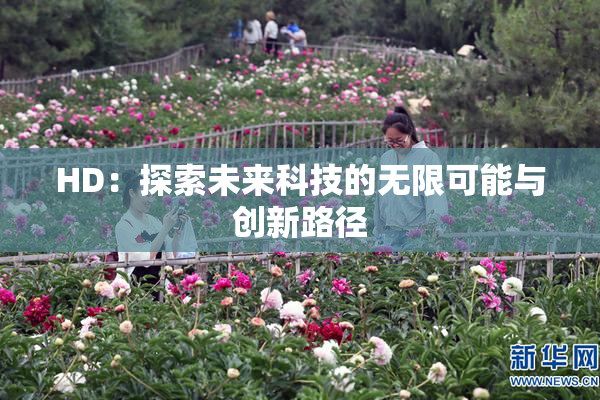 HD：探索未来科技的无限可能与创新路径