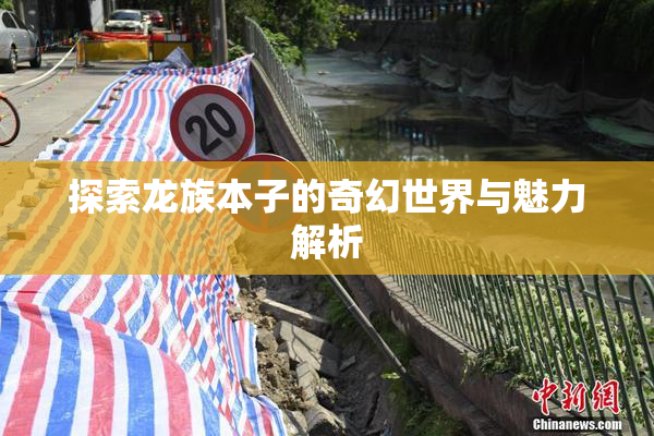 探索龙族本子的奇幻世界与魅力解析