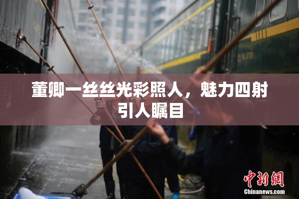 董卿一丝丝光彩照人，魅力四射引人瞩目