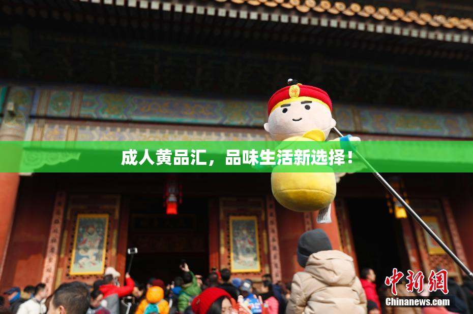 成人黄品汇，品味生活新选择！