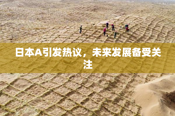 日本A引发热议，未来发展备受关注