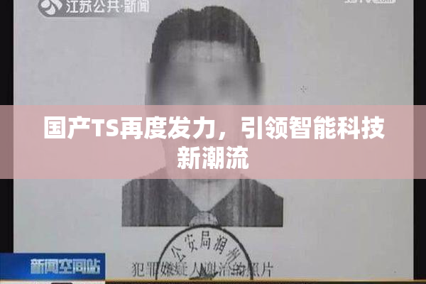 国产TS再度发力，引领智能科技新潮流