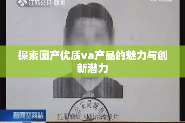 探索国产优质va产品的魅力与创新潜力