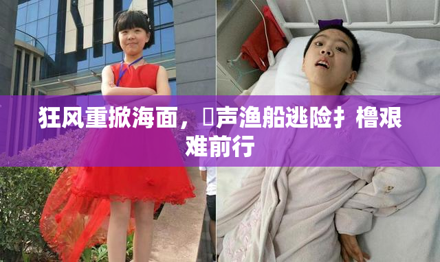 狂风重掀海面，喿声渔船逃险扌橹艰难前行