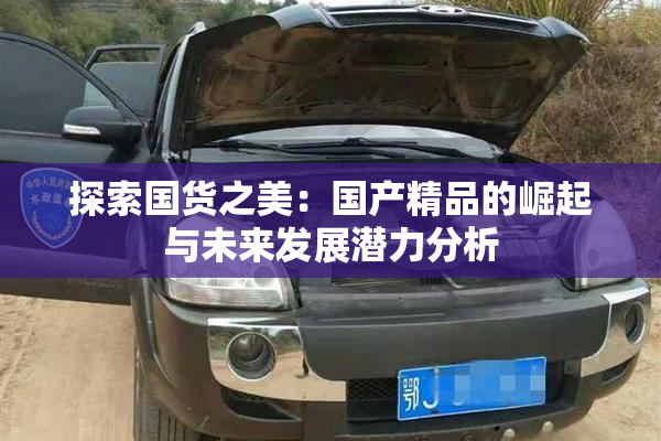 探索国货之美：国产精品的崛起与未来发展潜力分析