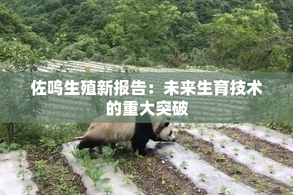 佐鸣生殖新报告：未来生育技术的重大突破