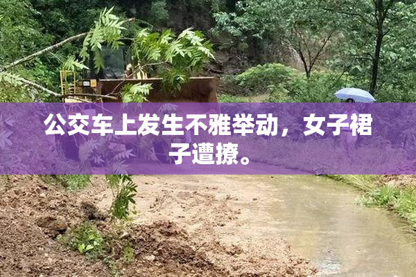 公交车上发生不雅举动，女子裙子遭撩。