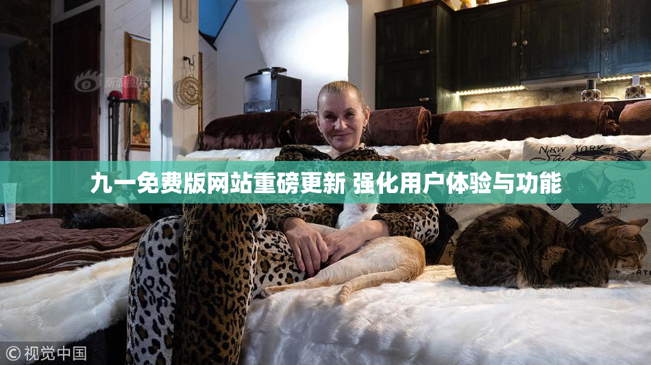 九一免费版网站重磅更新 强化用户体验与功能