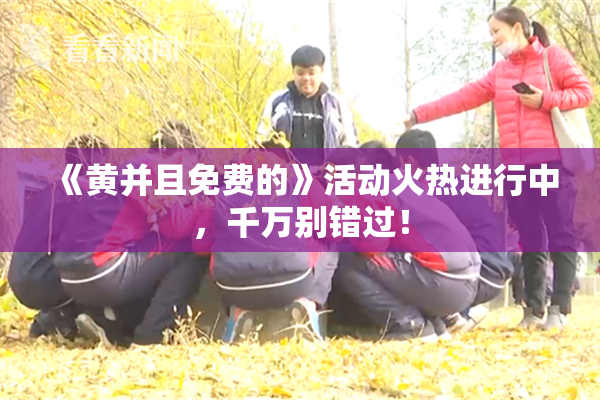 《黄并且免费的》活动火热进行中，千万别错过！
