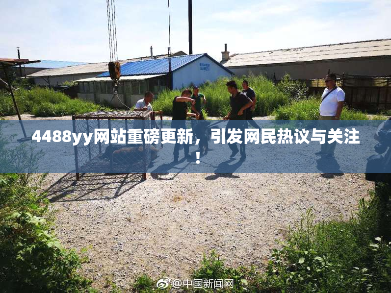 4488yy网站重磅更新，引发网民热议与关注！