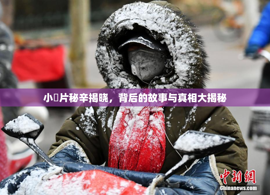 小黃片秘辛揭晓，背后的故事与真相大揭秘