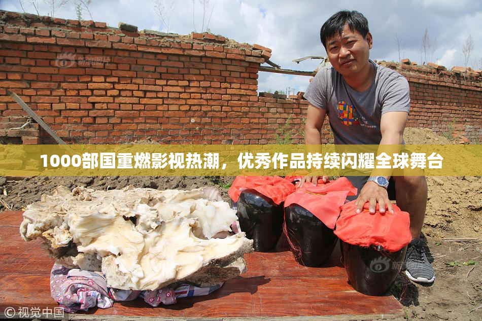 1000部国重燃影视热潮，优秀作品持续闪耀全球舞台