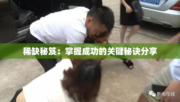 稀缺秘笈：掌握成功的关键秘诀分享