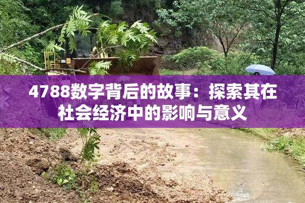 4788数字背后的故事：探索其在社会经济中的影响与意义
