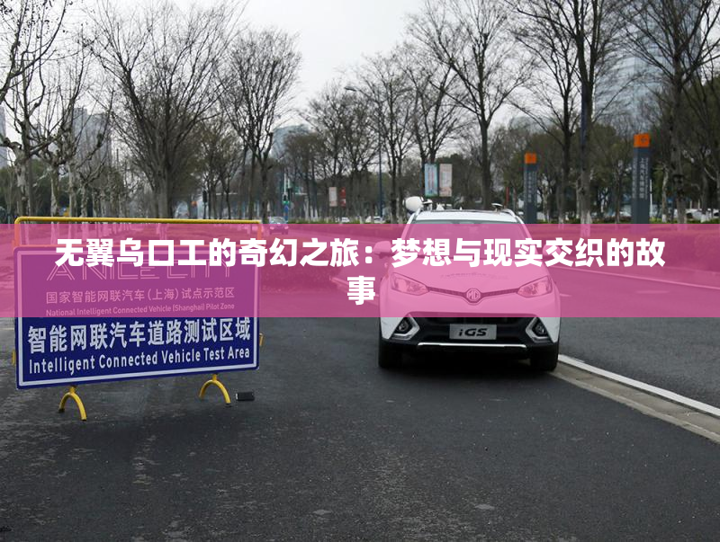 无翼乌口工的奇幻之旅：梦想与现实交织的故事