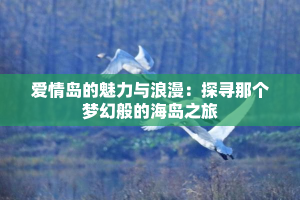 爱情岛的魅力与浪漫：探寻那个梦幻般的海岛之旅
