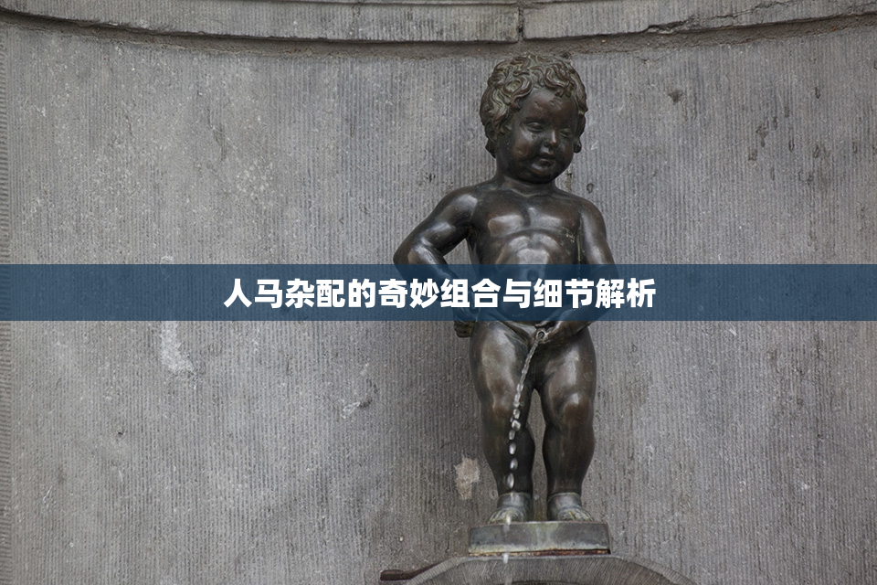人马杂配的奇妙组合与细节解析