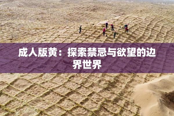 成人版黄：探索禁忌与欲望的边界世界