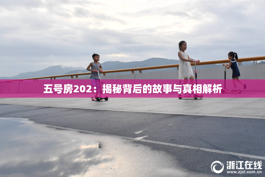五号房202：揭秘背后的故事与真相解析