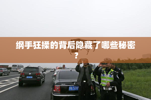 纲手狂揉的背后隐藏了哪些秘密？