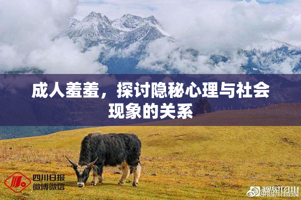 成人羞羞，探讨隐秘心理与社会现象的关系