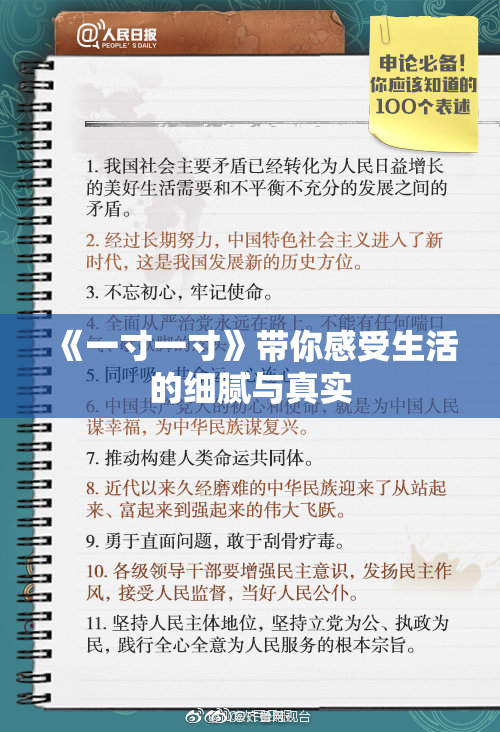 《一寸一寸》带你感受生活的细腻与真实