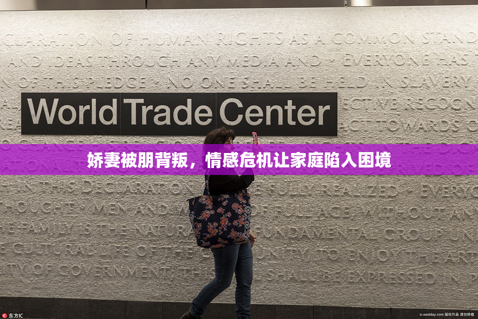 娇妻被朋背叛，情感危机让家庭陷入困境