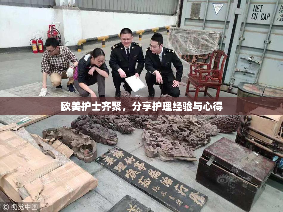 欧美护士齐聚，分享护理经验与心得